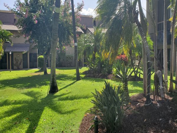Kihei Condo 978056