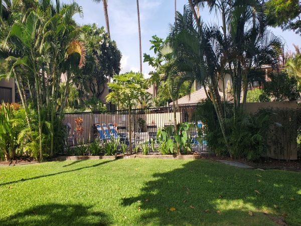 Kihei Condo 978056