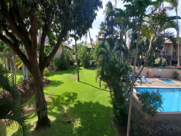 Kihei Condo 978056