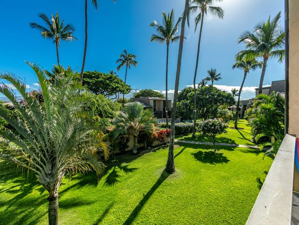 Kihei Condo 978057