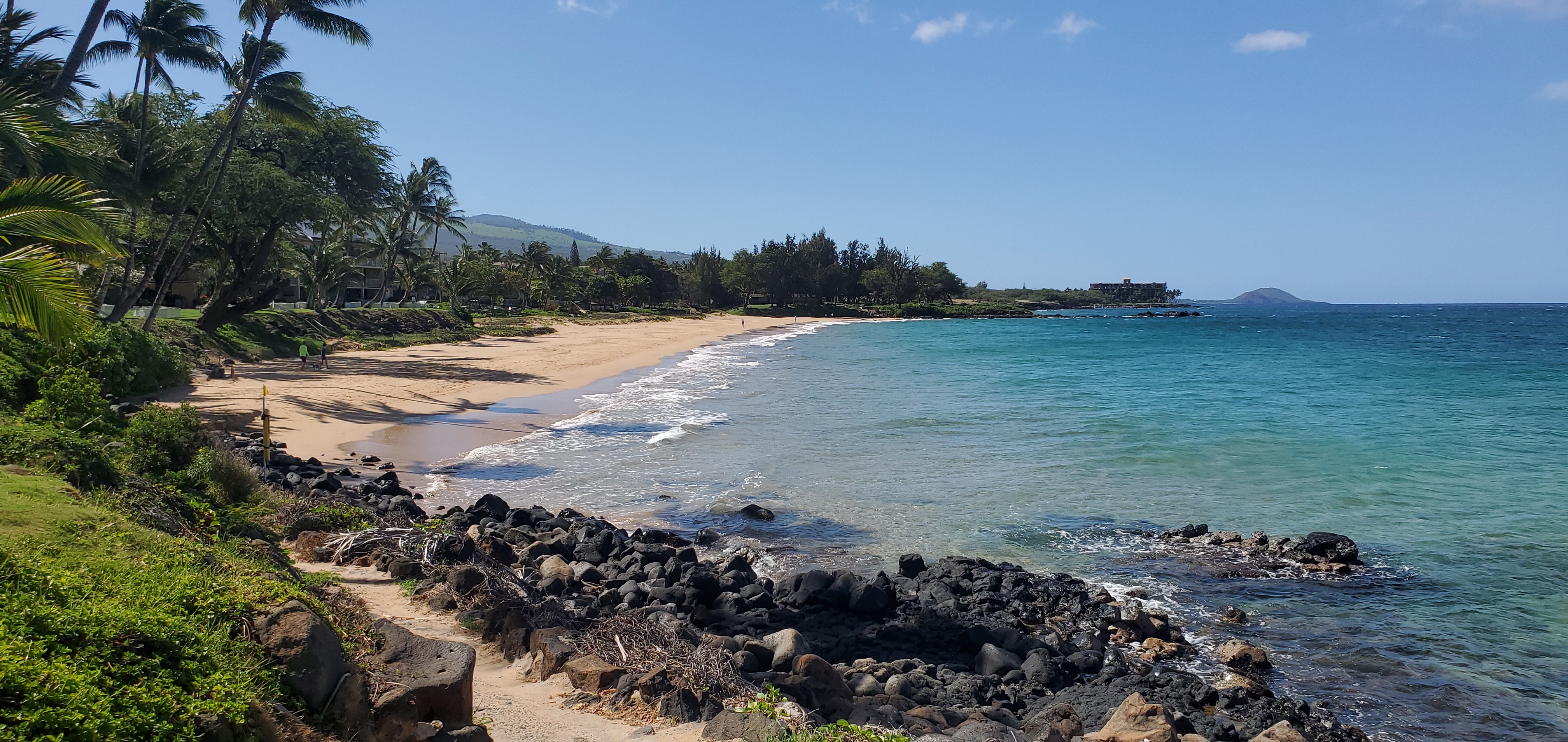 Wailea Condo 978058