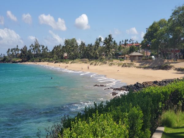 Wailea Condo 978058