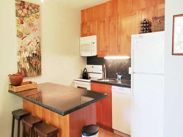 Wailea Condo 978058