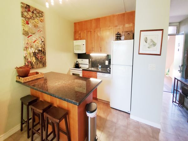 Wailea Condo 978058
