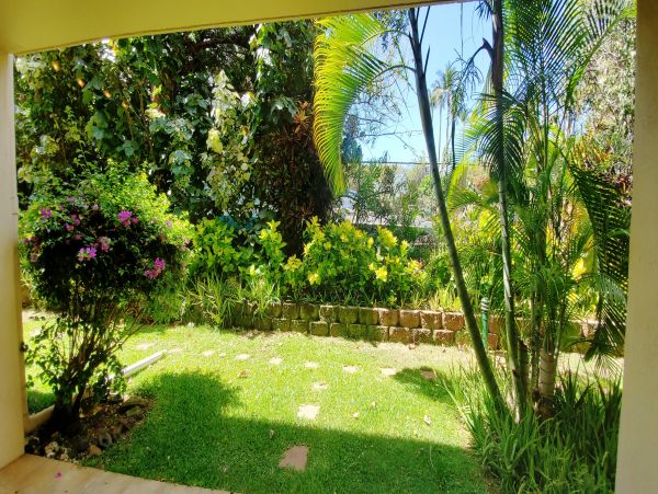 Wailea Condo 978058