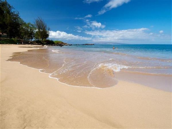 Wailea Condo 978058