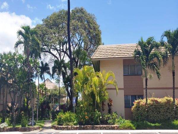 Wailea Condo 978058