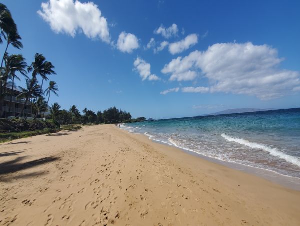 Wailea Condo 978059