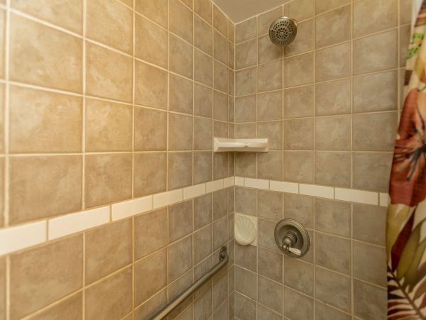 Wailea Condo 978061