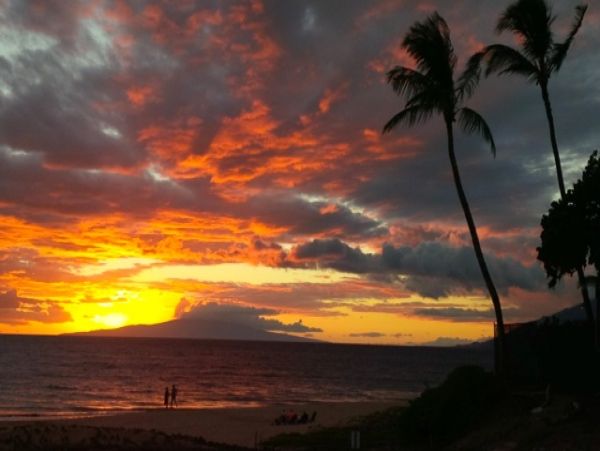 Wailea Condo 978061