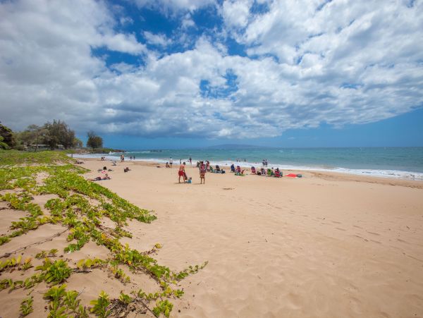 Wailea Condo 978061