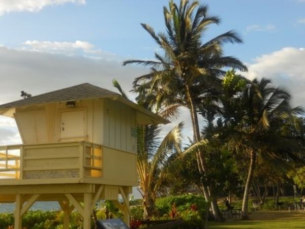 Wailea Condo 978061