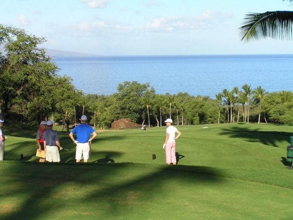 Wailea Condo 978062