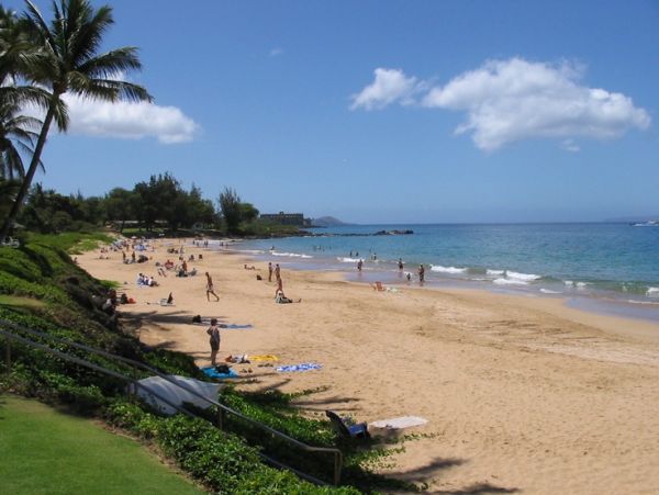 Wailea Condo 978062