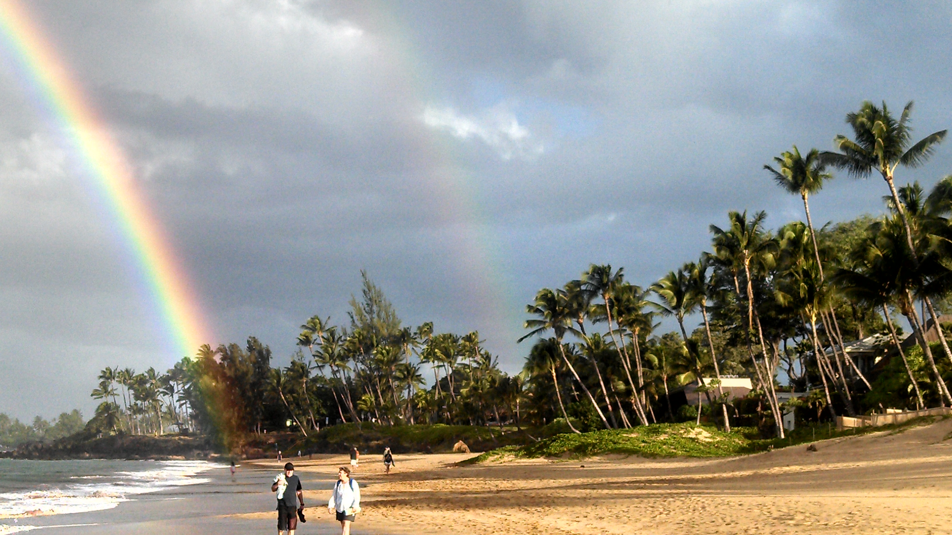 Wailea Condo 978062