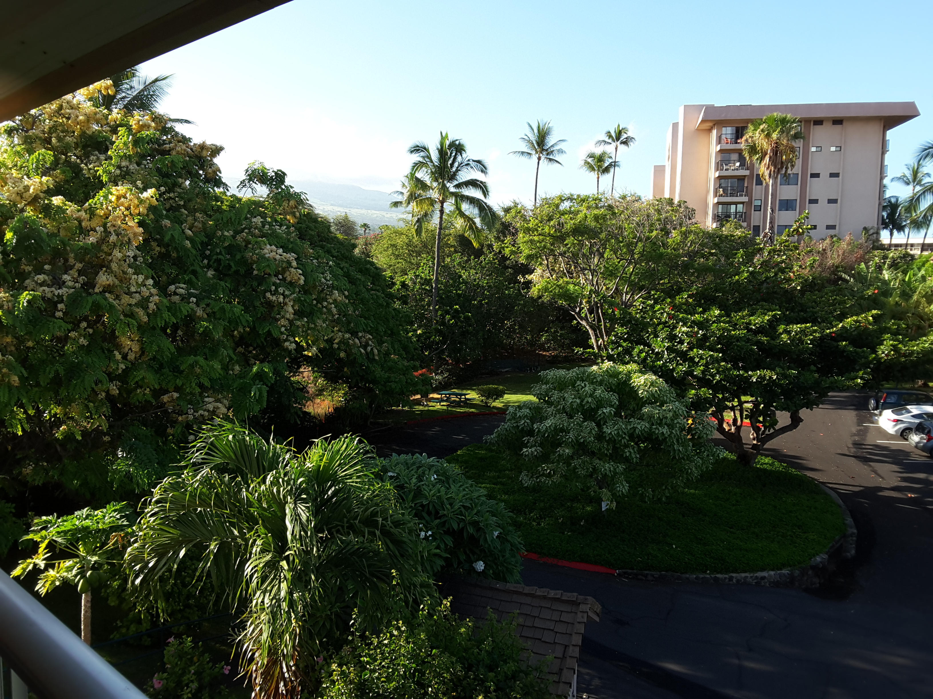 Wailea Condo 978063