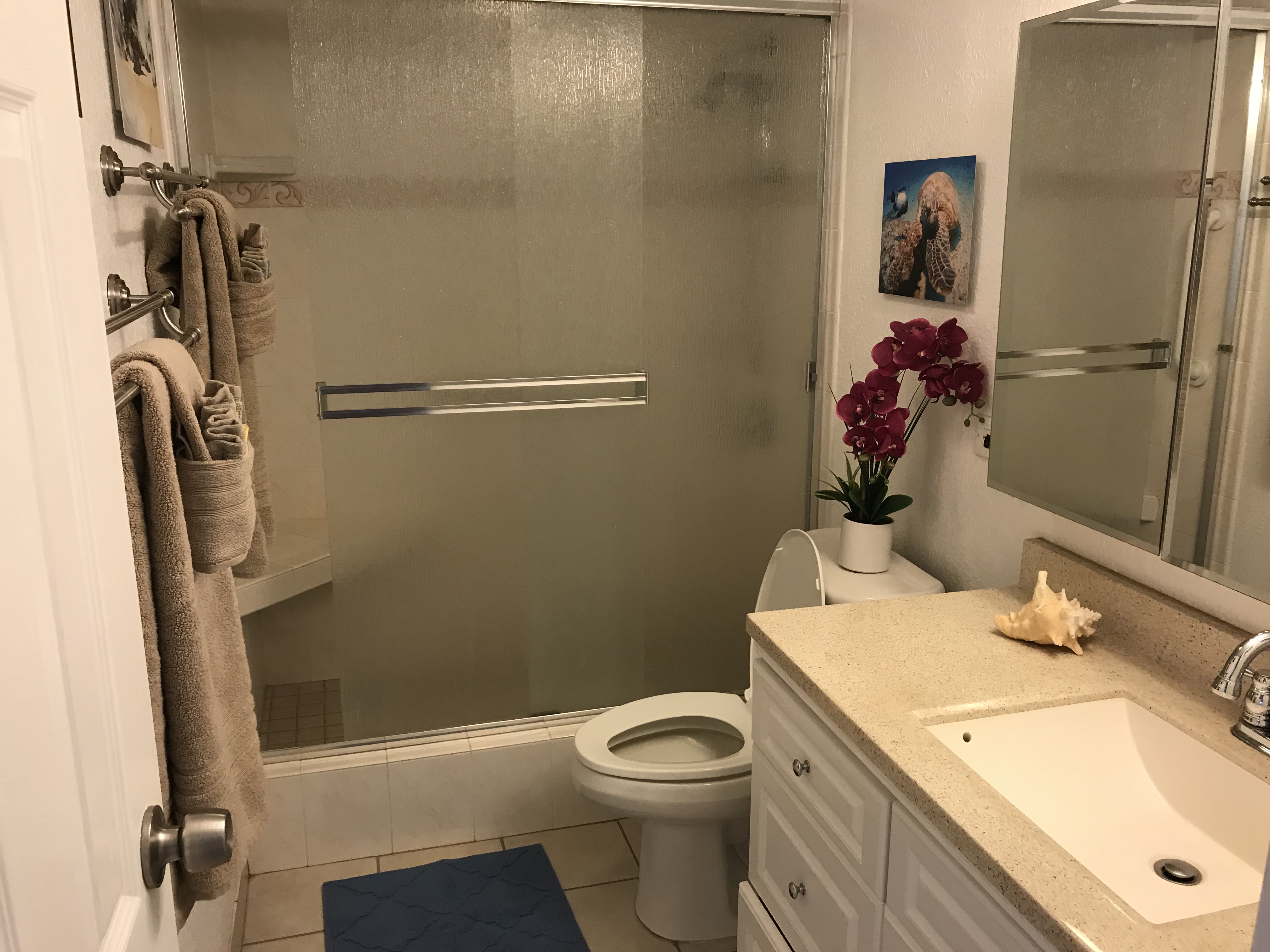 Wailea Condo 978063