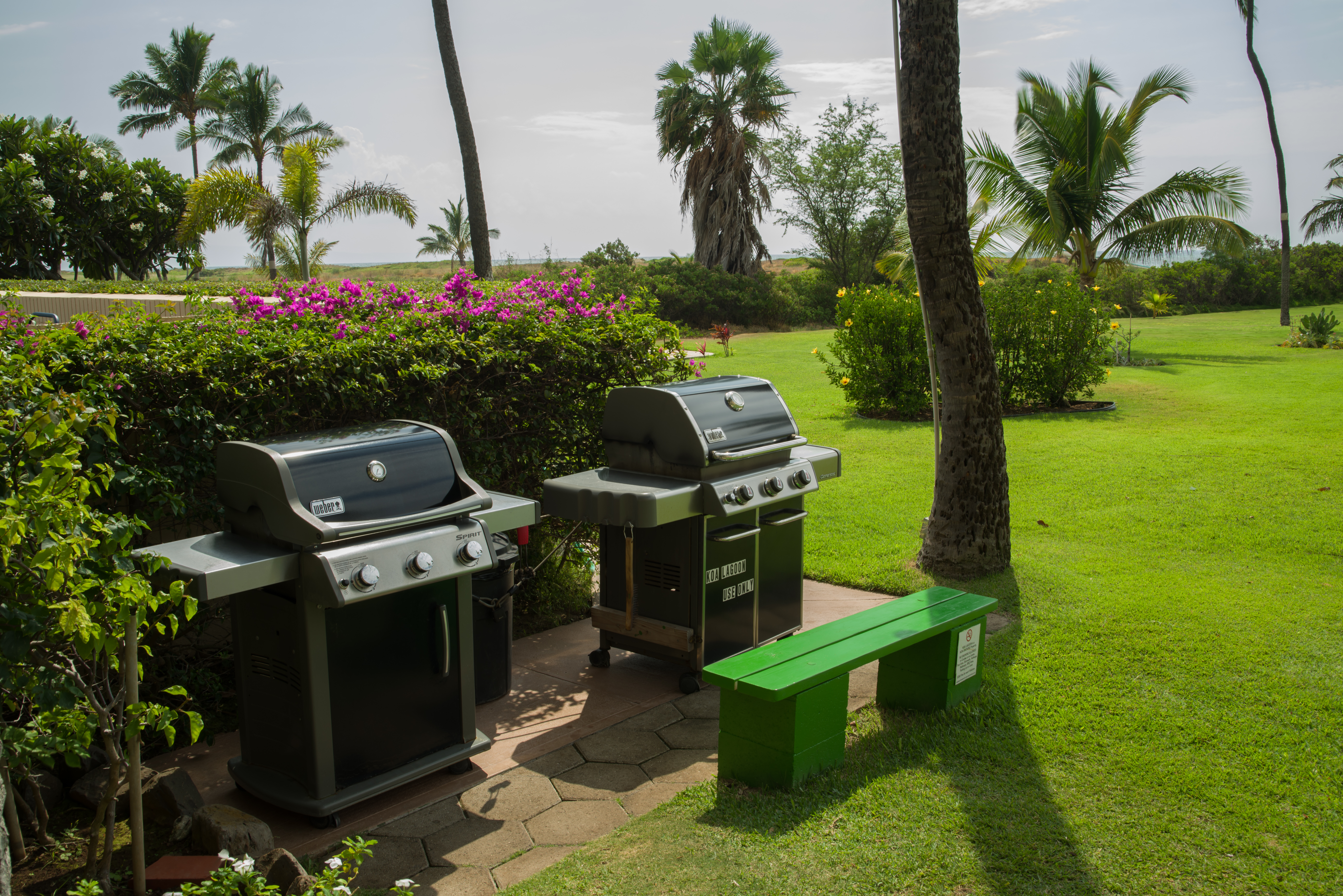 Kihei Condo 978064
