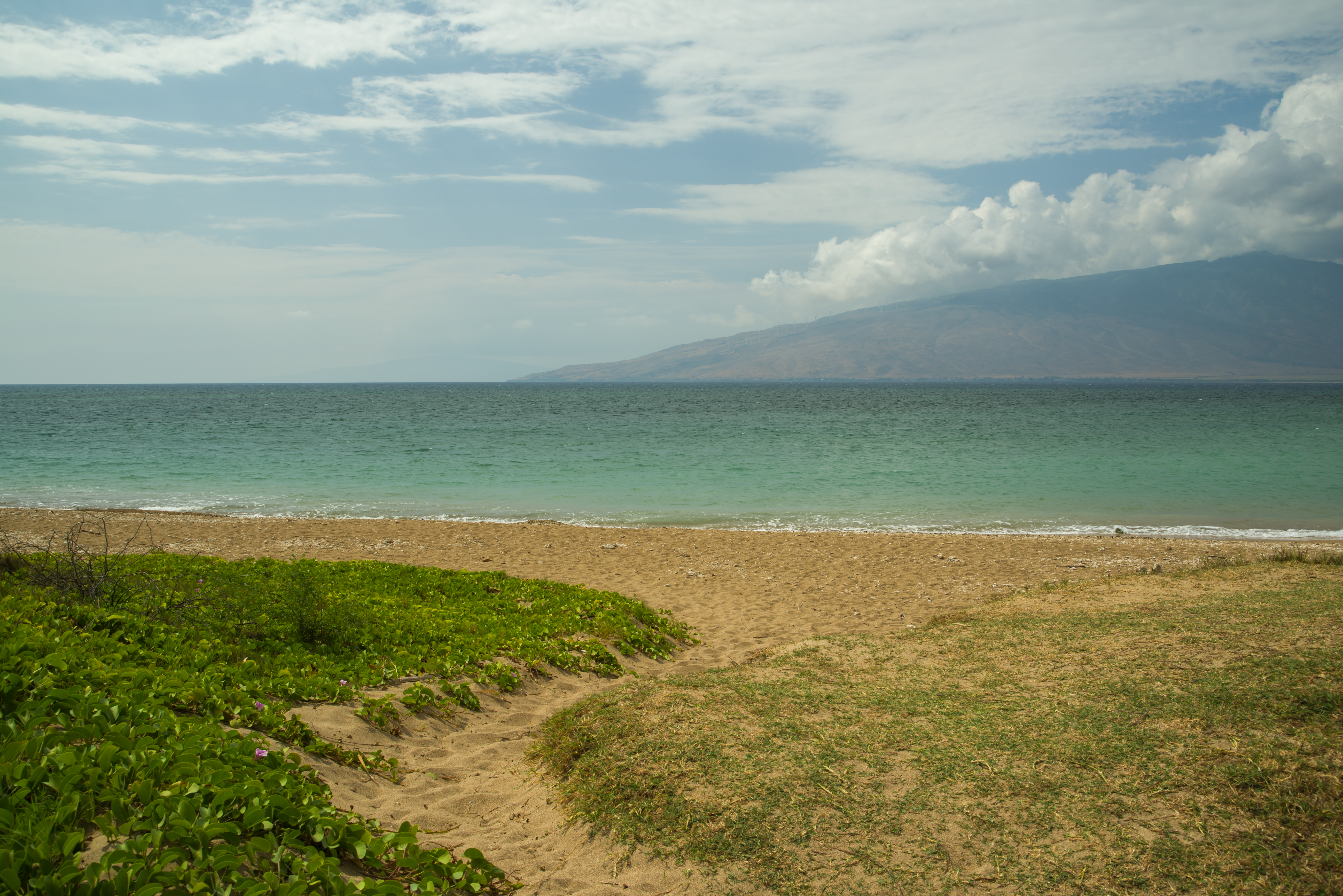 Kihei Condo 978064