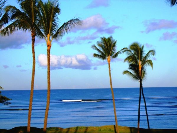 Kihei Condo 978065