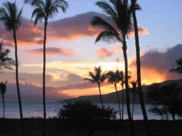 Kihei Condo 978065