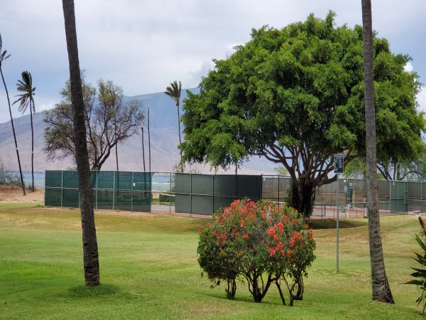 Kihei Condo 978065