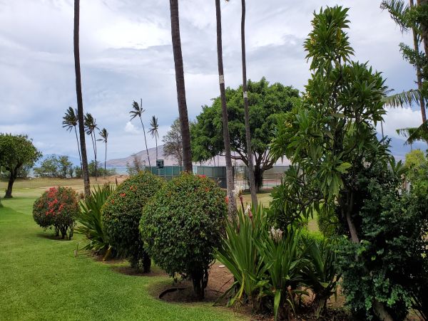 Kihei Condo 978065