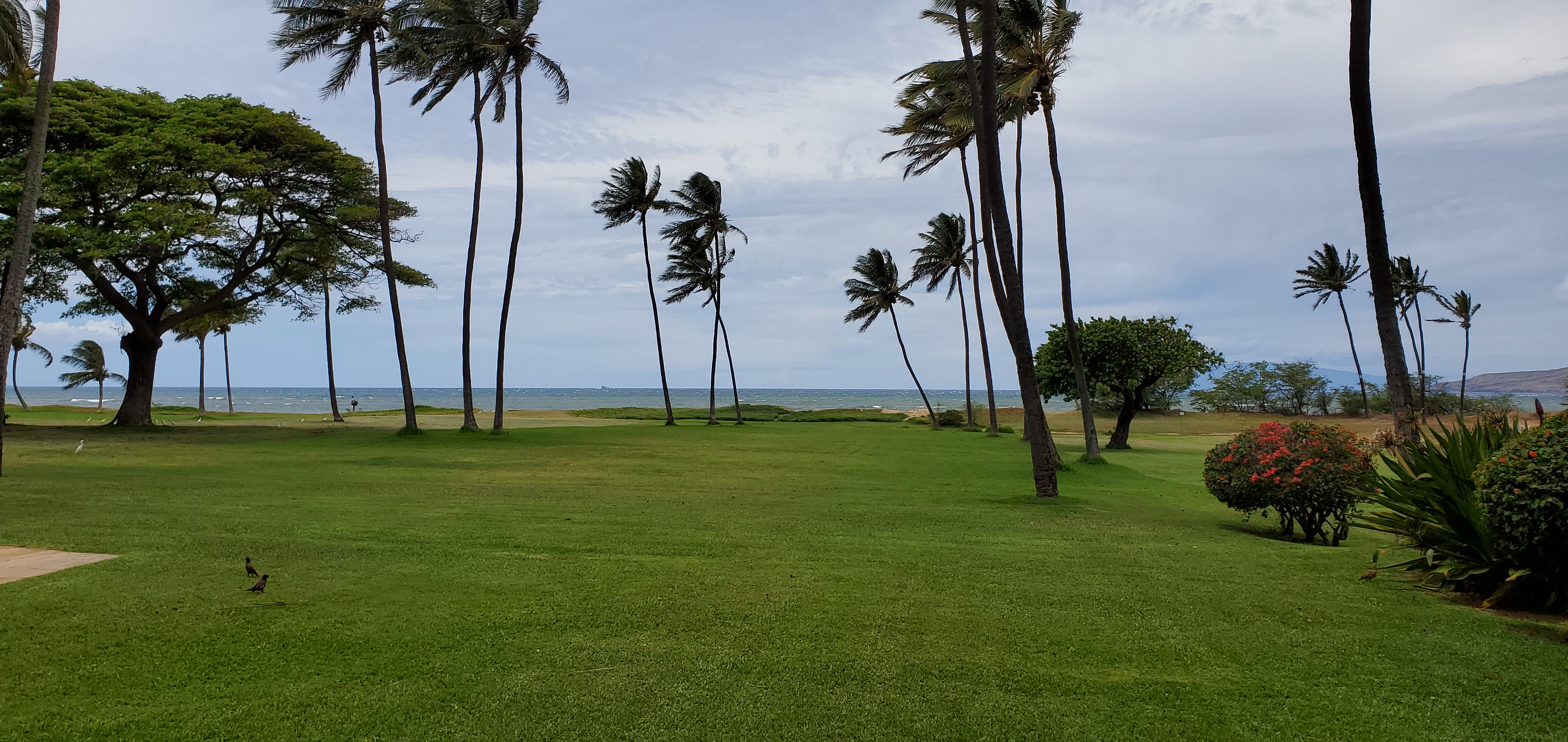 Kihei Condo 978065