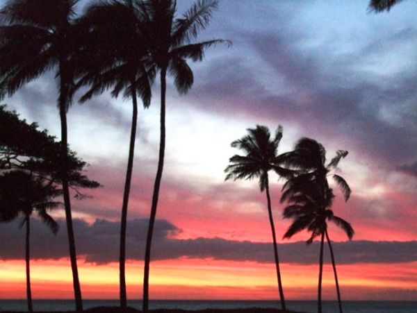 Kihei Condo 978066