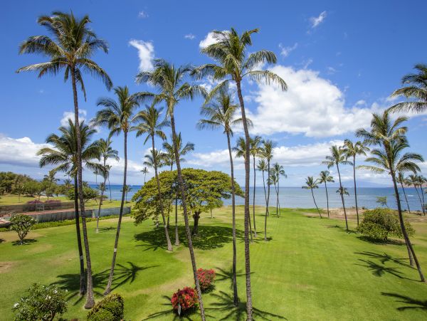 Kihei Condo 978067