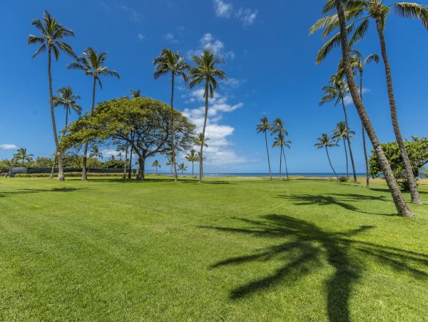 Kihei Condo 978067