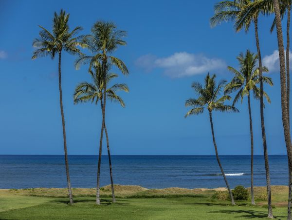 Kihei Condo 978067