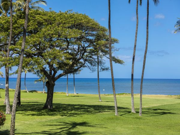 Kihei Condo 978067