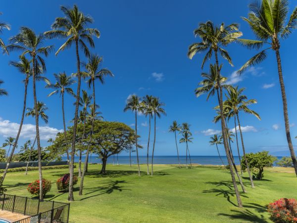 Kihei Condo 978067