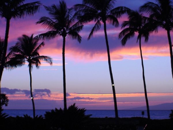 Kihei Condo 978069