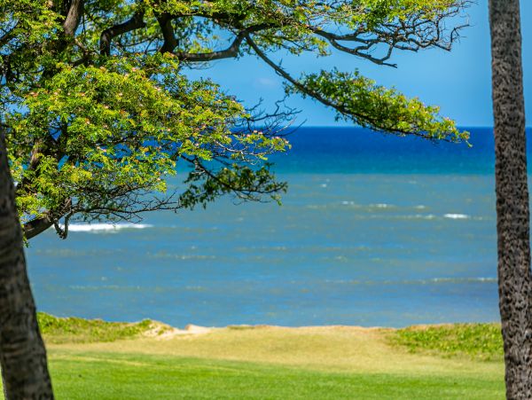 Kihei Condo 978069