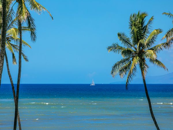 Kihei Condo 978069