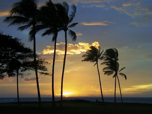 Kihei Condo 978069
