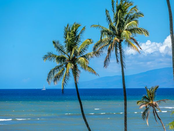 Kihei Condo 978069