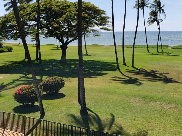 Kihei Condo 978070