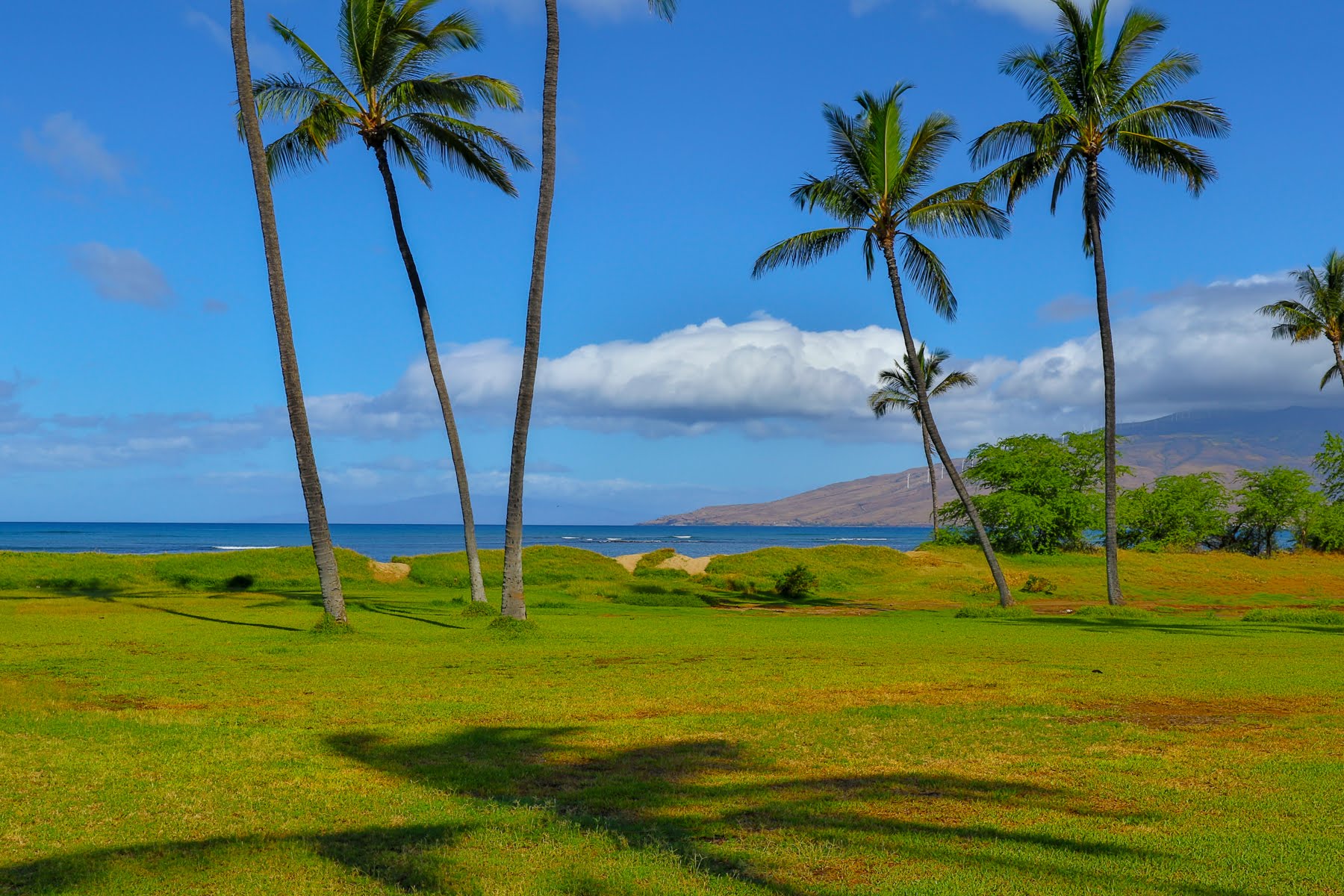 Kihei Condo 978070