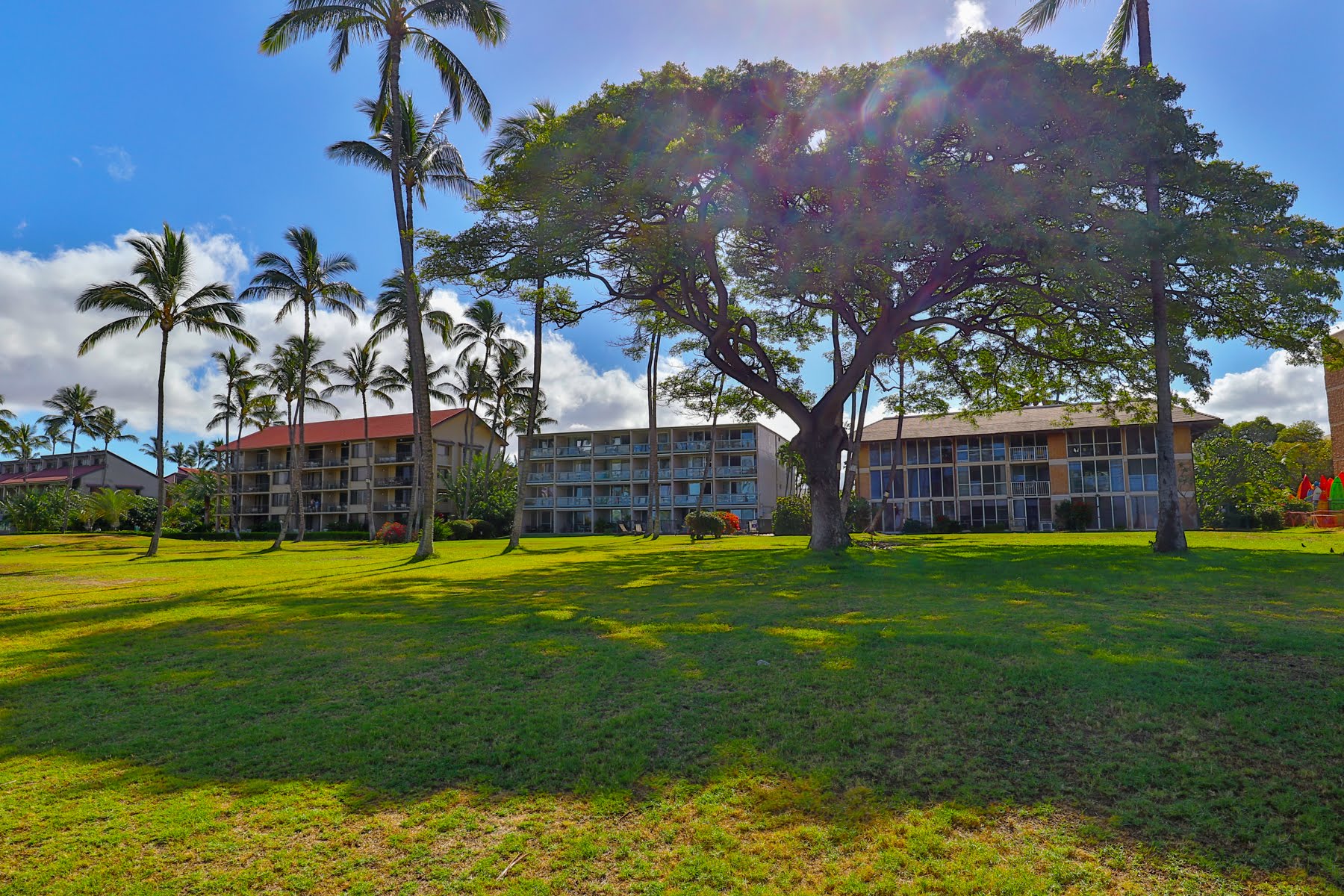 Kihei Condo 978070