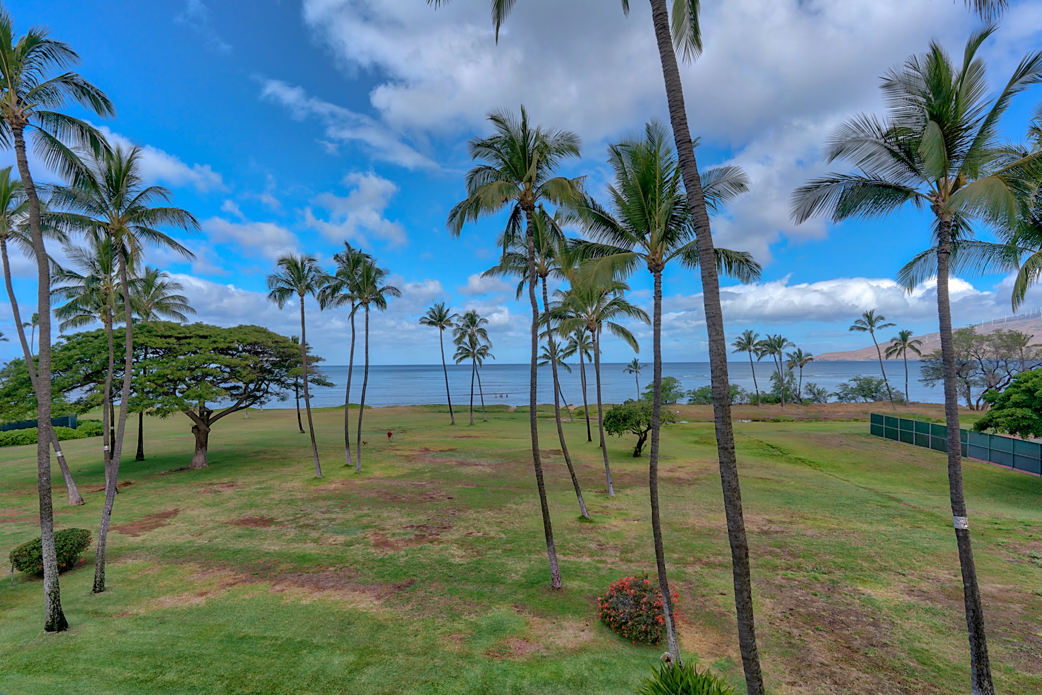 Kihei Condo 978071