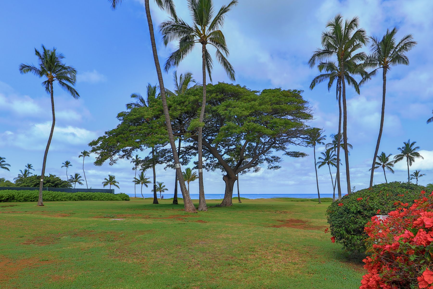 Kihei Condo 978071