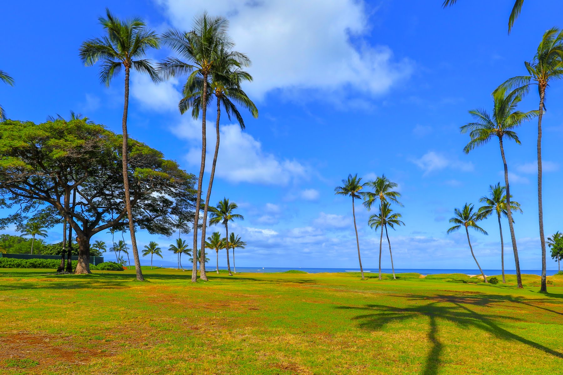 Kihei Condo 978071