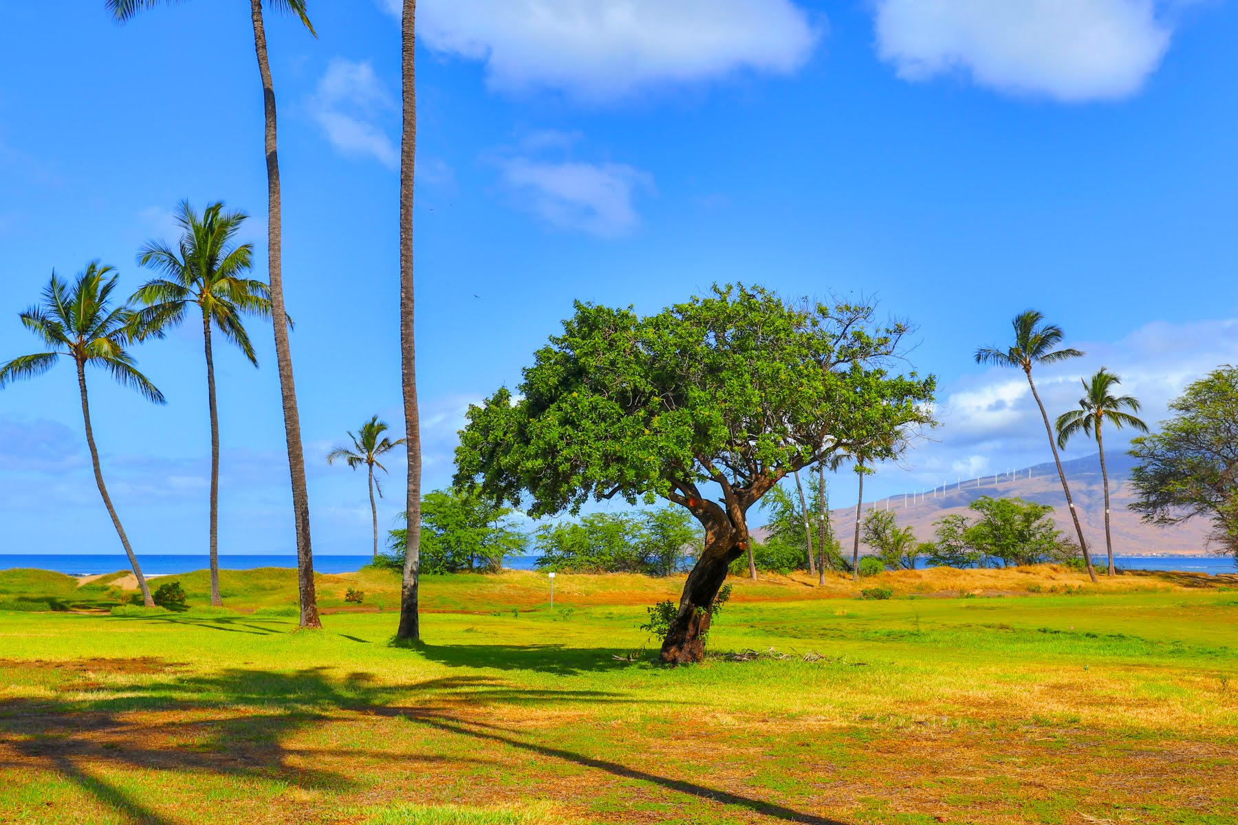Kihei Condo 978071
