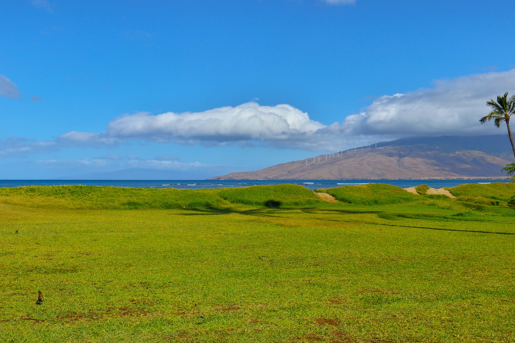 Kihei Condo 978071