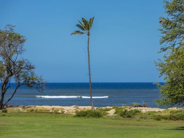 Kihei Condo 978074