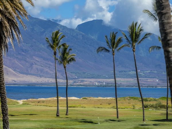 Kihei Condo 978074