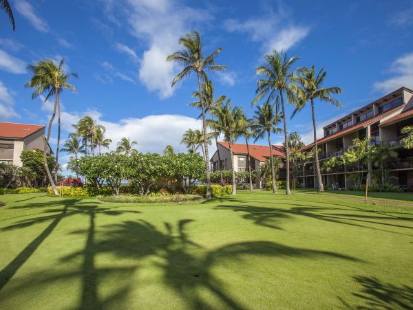 Kihei Condo 978075